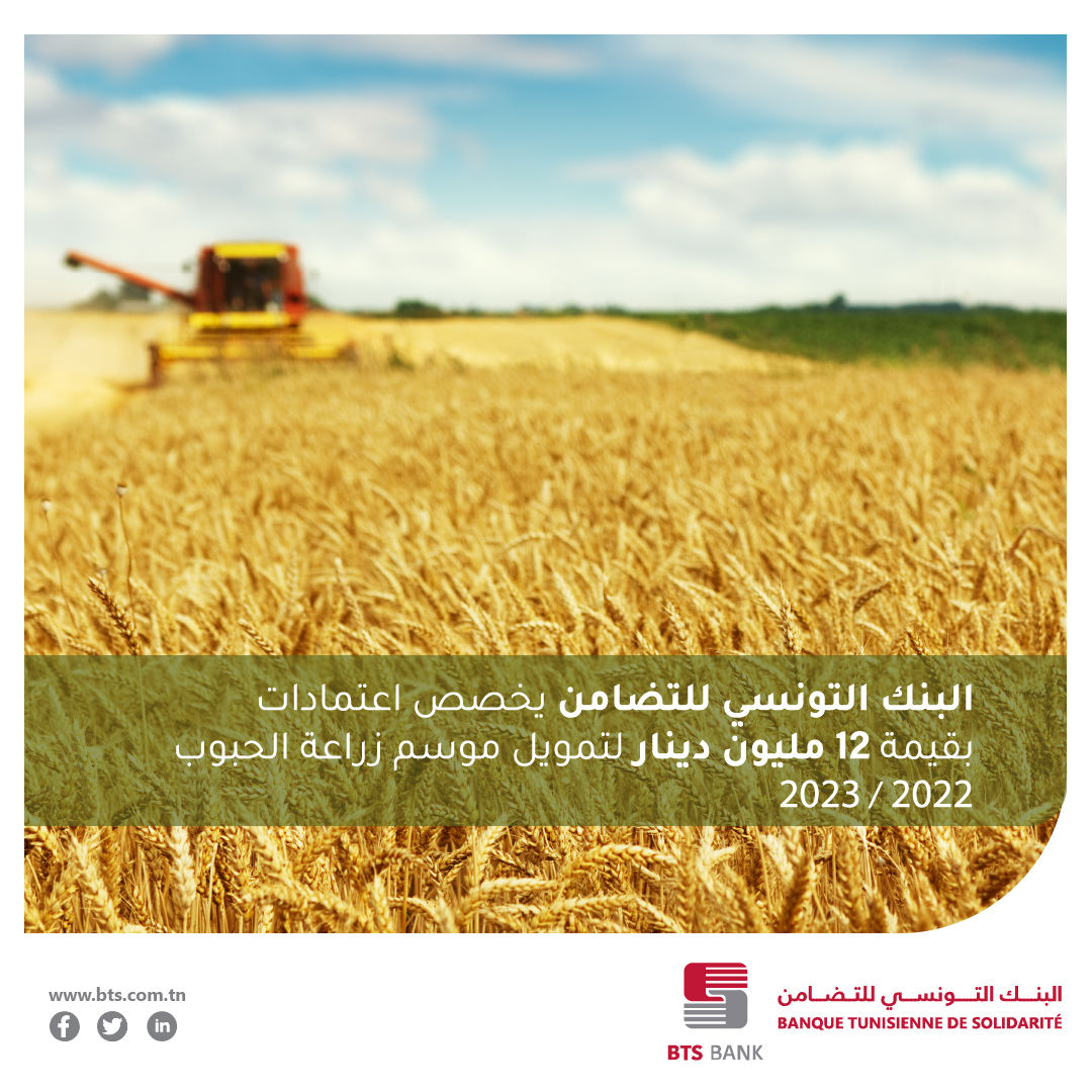 البنك التونسي للتضامن يخصص اعتمادات هامة لتمويل موسم زراعة الحبوب 2022 / 2023